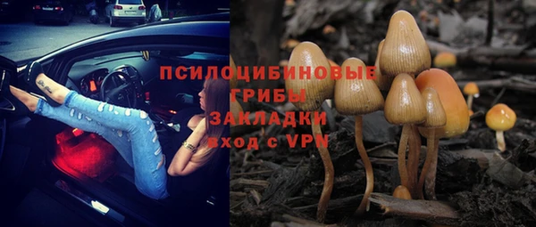 спиды Дмитриев